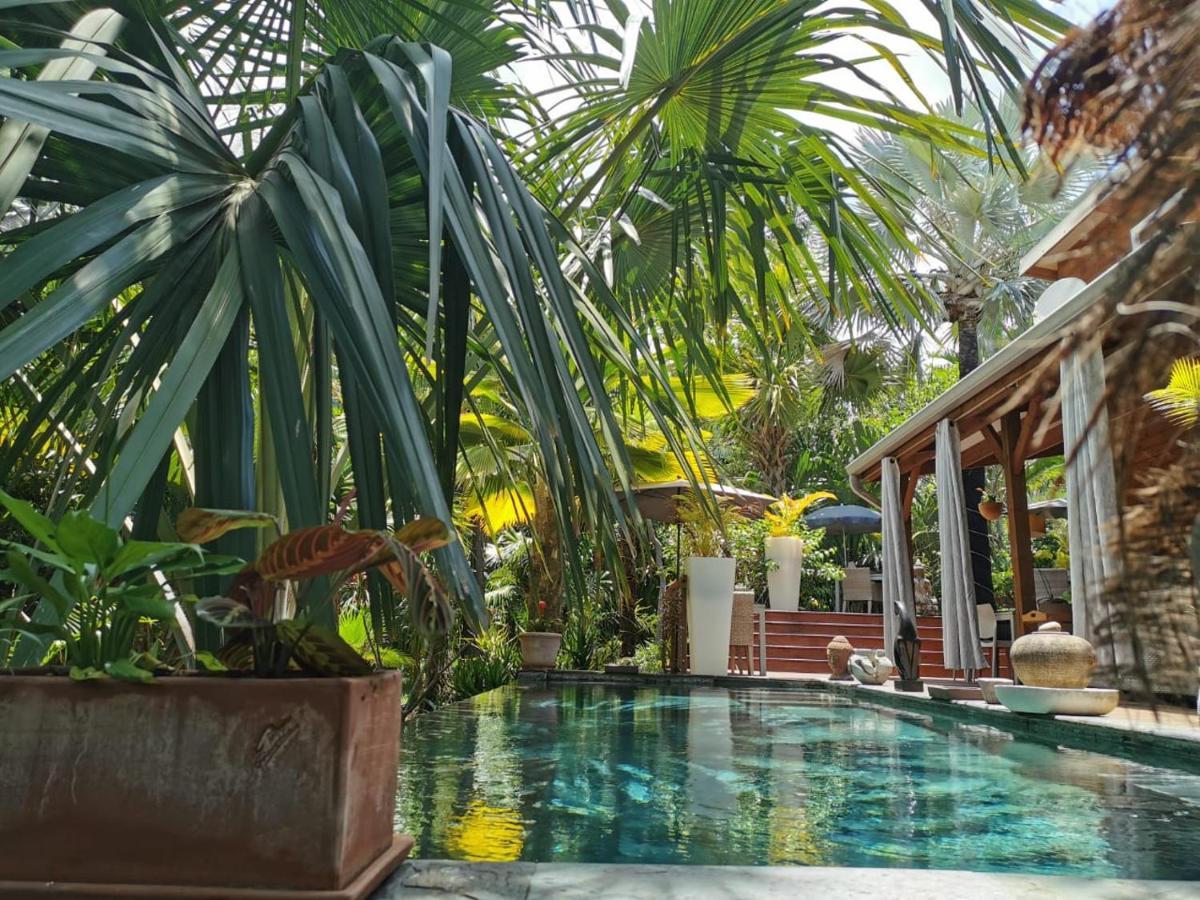Lodge Palmae سانت بيير المظهر الخارجي الصورة